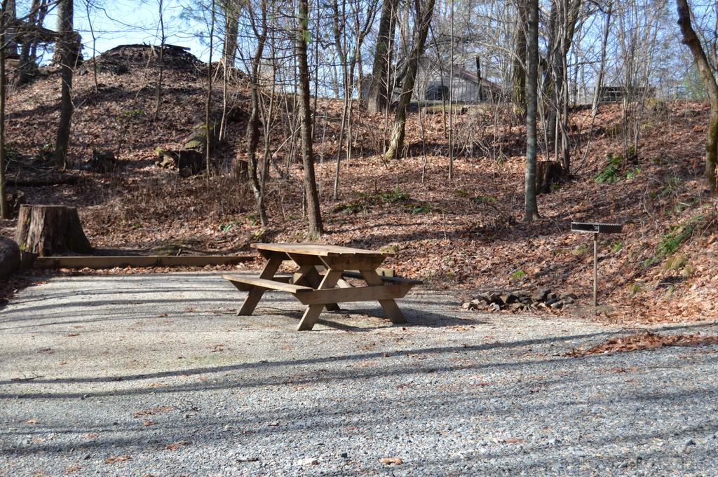 Linville Falls Campground, Rv Park, And Cabins Exteriör bild