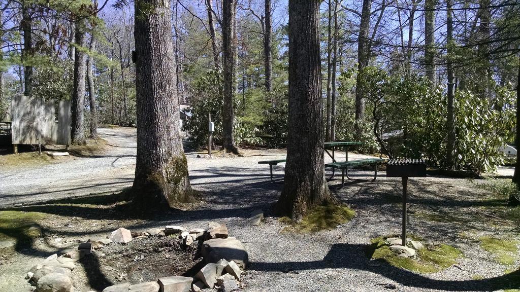 Linville Falls Campground, Rv Park, And Cabins Exteriör bild