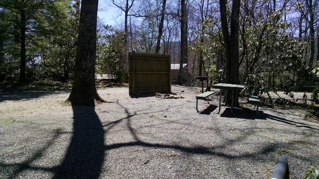Linville Falls Campground, Rv Park, And Cabins Exteriör bild