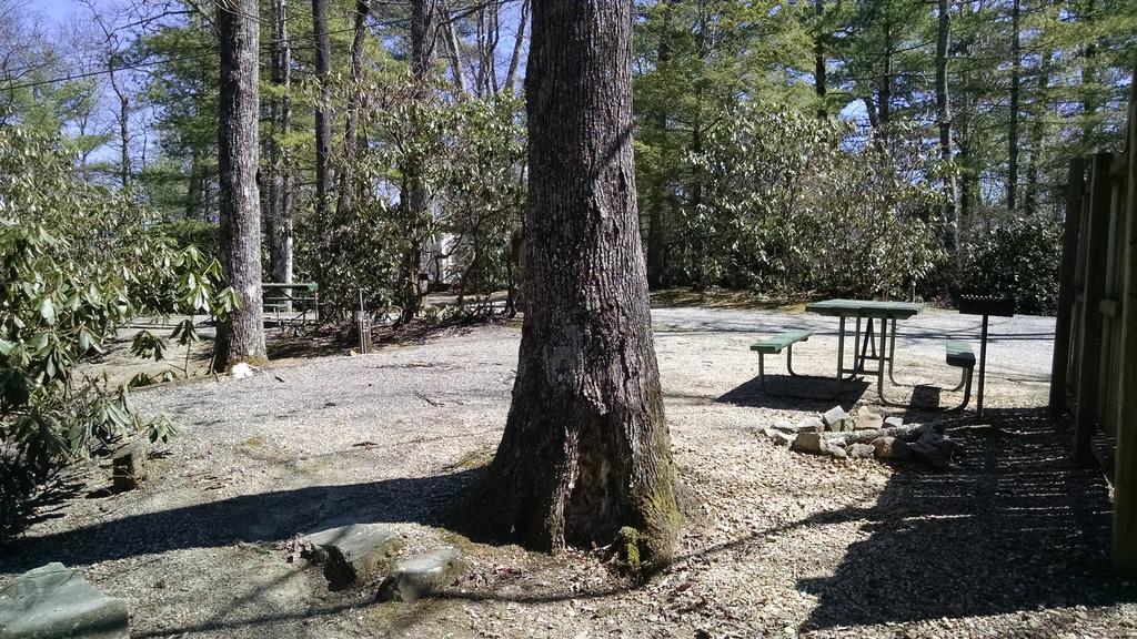 Linville Falls Campground, Rv Park, And Cabins Exteriör bild