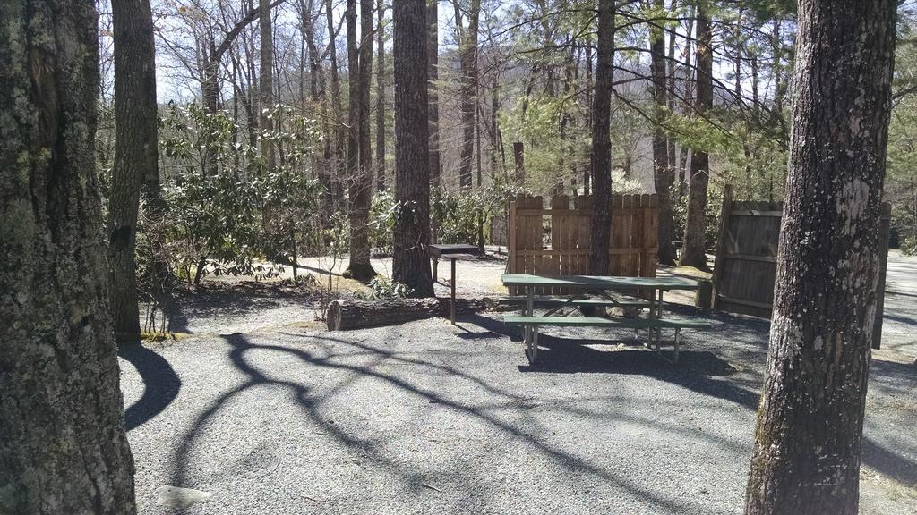 Linville Falls Campground, Rv Park, And Cabins Exteriör bild