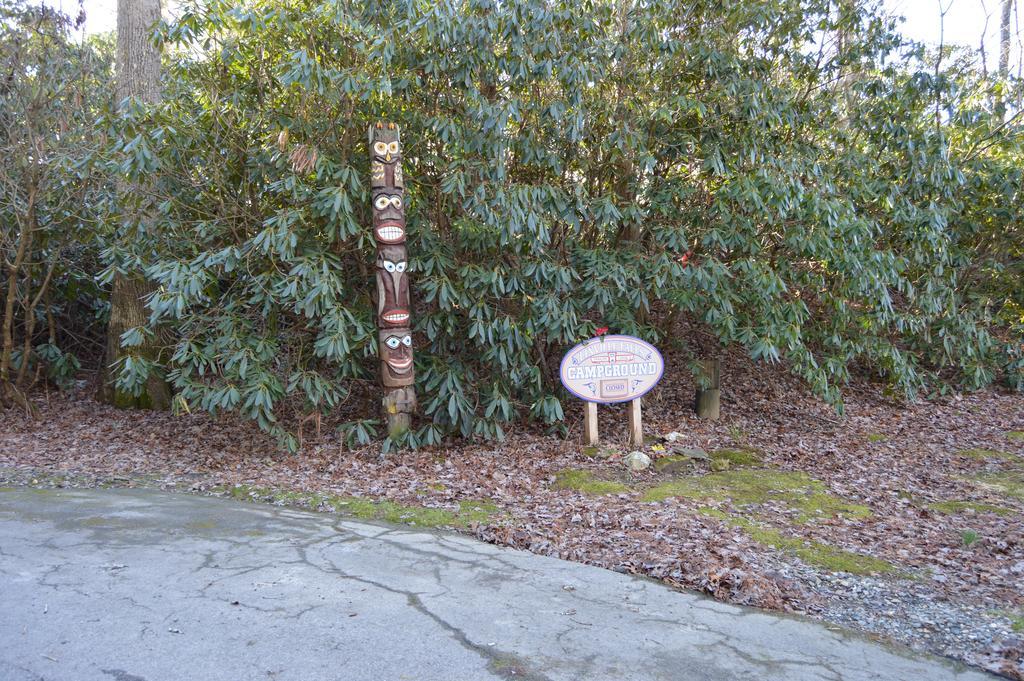 Linville Falls Campground, Rv Park, And Cabins Exteriör bild
