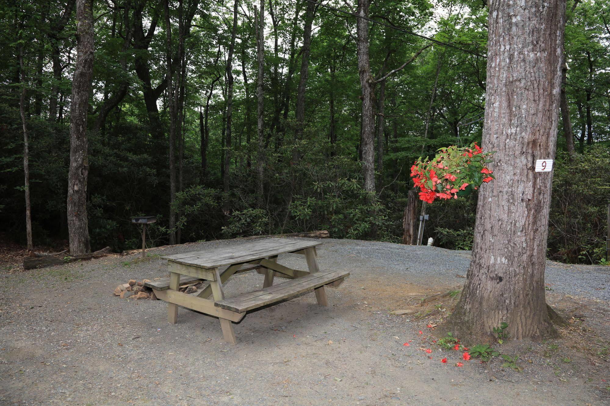 Linville Falls Campground, Rv Park, And Cabins Exteriör bild